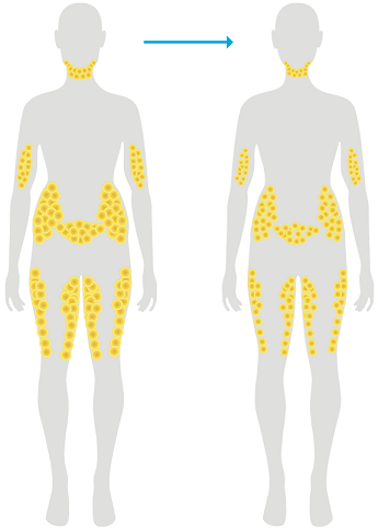 1550545723567025.png normal-weight-loss.png